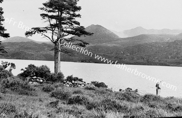 LOUGH ACOOSE FROM N.